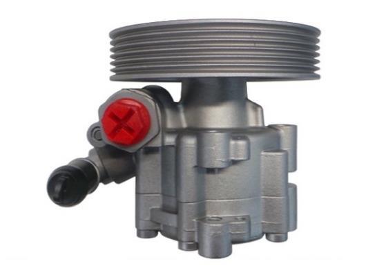 Pompe de direction assistée (Servo direction) GKN 53655
