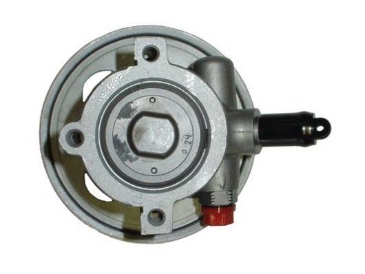 Pompe de direction assistée (Servo direction) GKN ref. 53661