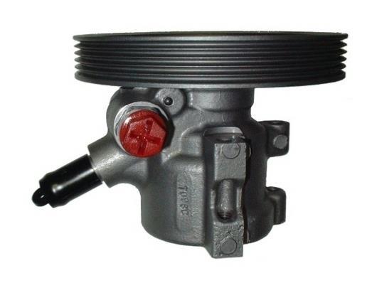 Pompe de direction assistée (Servo direction) GKN ref. 53661