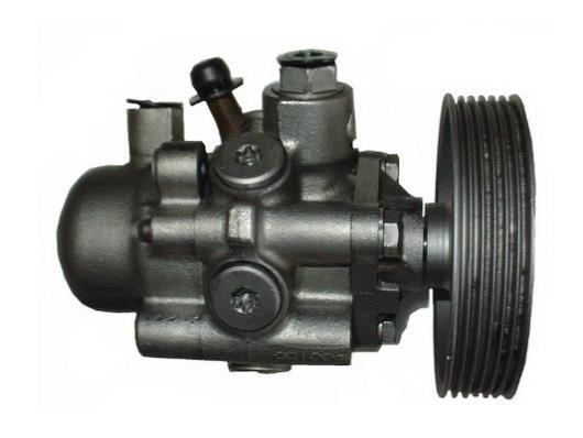 Pompe de direction assistée (Servo direction) GKN ref. 53666