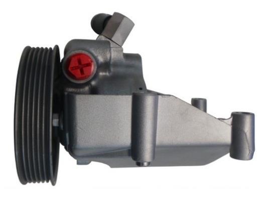 Pompe de direction assistée (Servo direction) GKN 53667