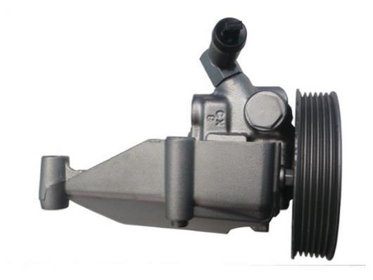 Pompe de direction assistée (Servo direction) GKN 53667
