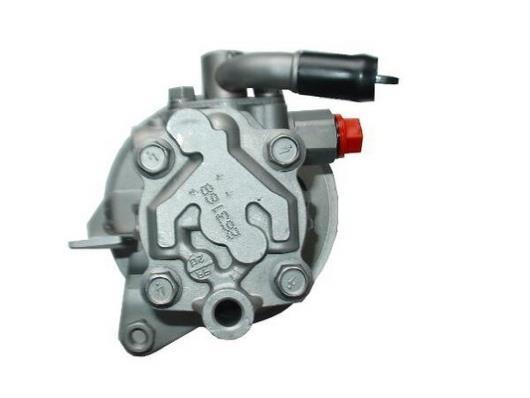 Pompe de direction assistée (Servo direction) GKN ref. 53668