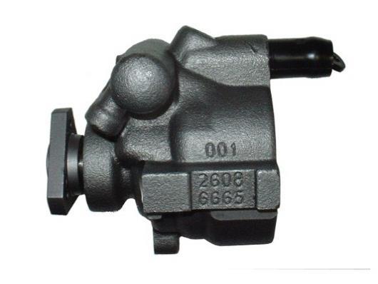 Pompe de direction assistée (Servo direction) GKN 53672