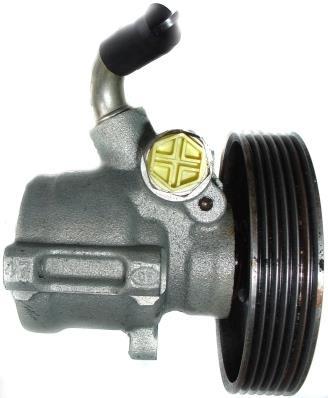 Pompe de direction assistée (Servo direction) GKN 53675