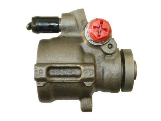 Pompe de direction assistée (Servo direction) GKN 53676