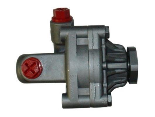 Pompe de direction assistée (Servo direction) GKN 53679