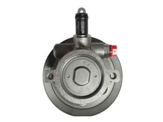 Pompe de direction assistée (Servo direction) GKN 53689