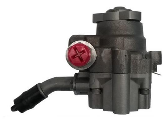Pompe de direction assistée (Servo direction) GKN 53690