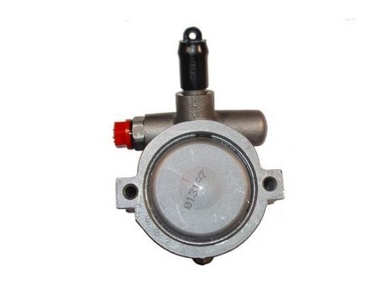 Pompe de direction assistée (Servo direction) GKN ref. 53697