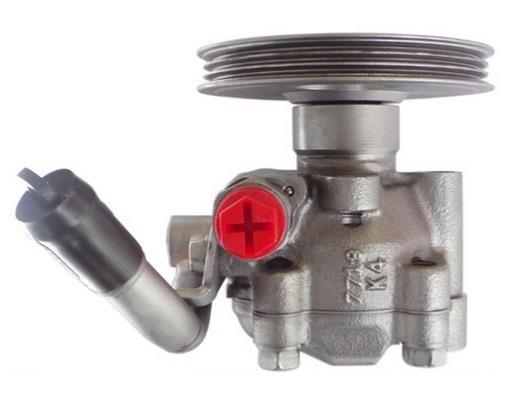 Pompe de direction assistée (Servo direction) GKN ref. 53700