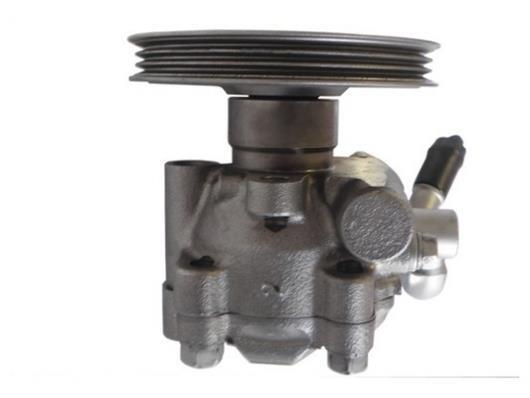 Pompe de direction assistée (Servo direction) GKN ref. 53700