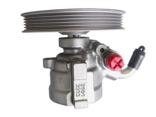 Pompe de direction assistée (Servo direction) GKN 53704