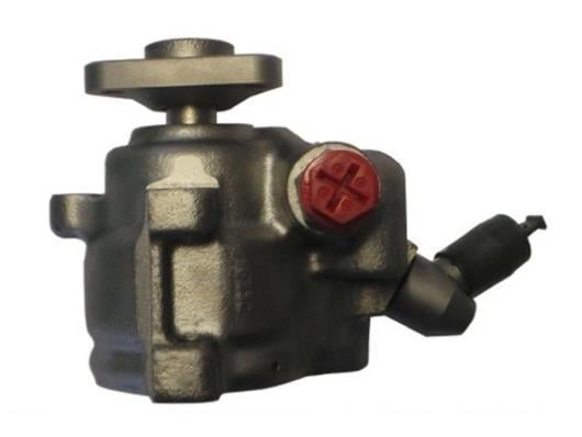 Pompe de direction assistée (Servo direction) GKN 53709