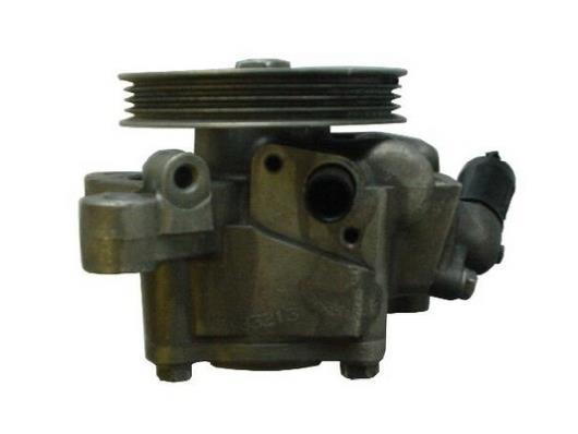 Pompe de direction assistée (Servo direction) GKN ref. 53713