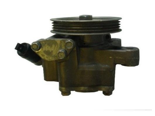 Pompe de direction assistée (Servo direction) GKN ref. 53713