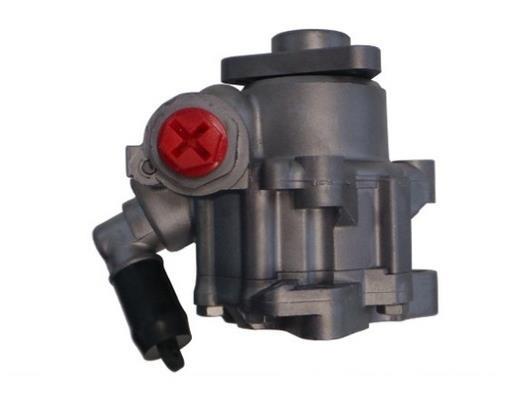 Pompe de direction assistée (Servo direction) GKN 53724