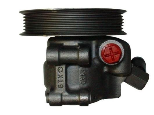 Pompe de direction assistée (Servo direction) GKN ref. 53725