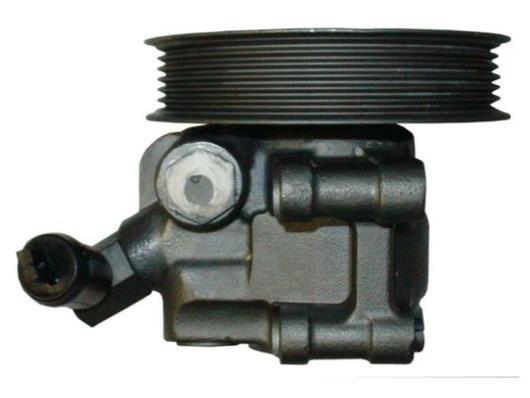 Pompe de direction assistée (Servo direction) GKN ref. 53725