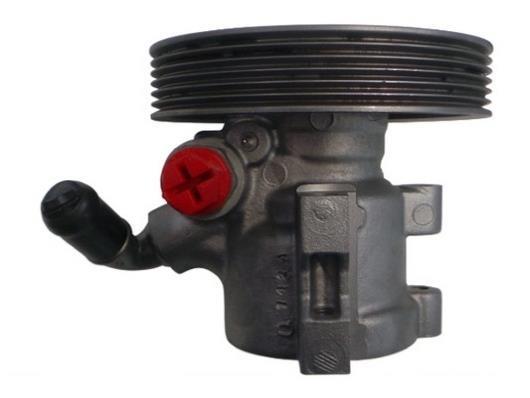 Pompe de direction assistée (Servo direction) GKN 53729