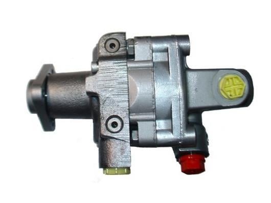 Pompe de direction assistée (Servo direction) GKN 53731