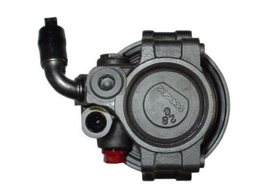 Pompe de direction assistée (Servo direction) GKN 53732