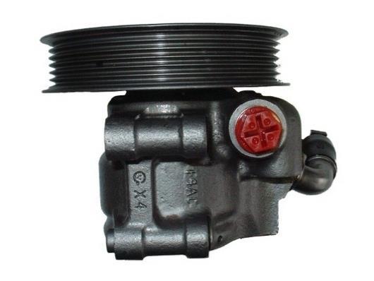 Pompe de direction assistée (Servo direction) GKN 53732