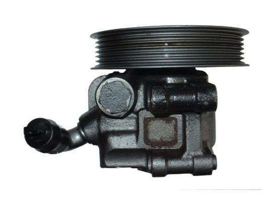 Pompe de direction assistée (Servo direction) GKN 53732