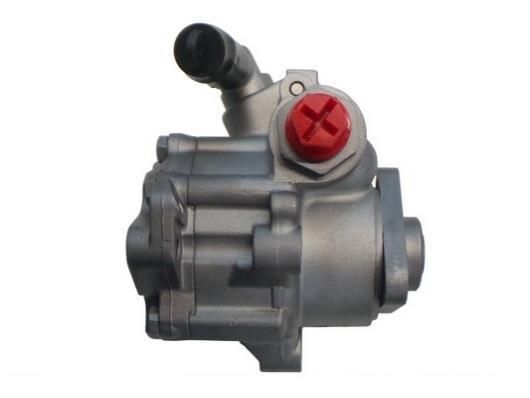 Pompe de direction assistée (Servo direction) GKN 53735