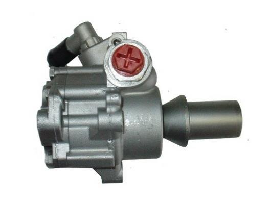 Bomba de direção assistida GKN 53736