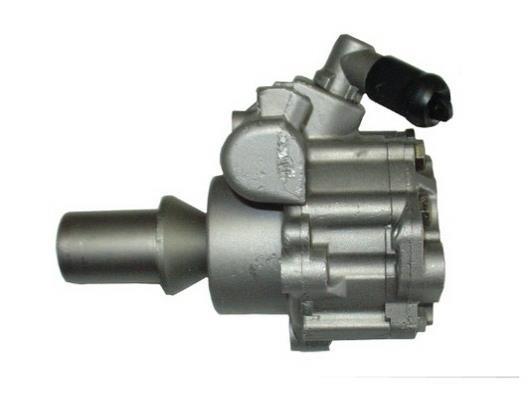 Bomba de direção assistida GKN 53736