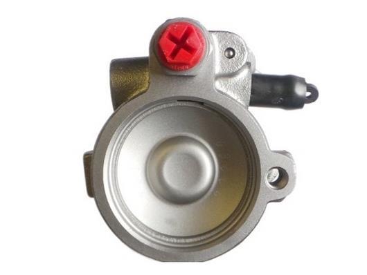 Pompe de direction assistée (Servo direction) GKN 53739