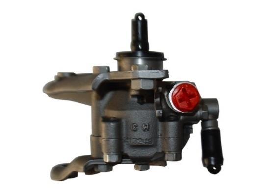 Pompe de direction assistée (Servo direction) GKN ref. 53748
