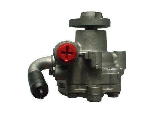 Pompe de direction assistée (Servo direction) GKN 53749