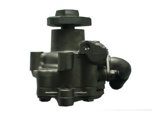Pompe de direction assistée (Servo direction) GKN 53749