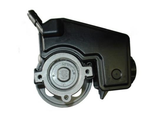 Pompe de direction assistée (Servo direction) GKN 53751