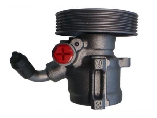 Pompe de direction assistée (Servo direction) GKN 53753