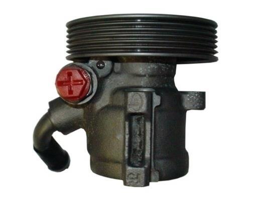 Pompe de direction assistée (Servo direction) GKN ref. 53754