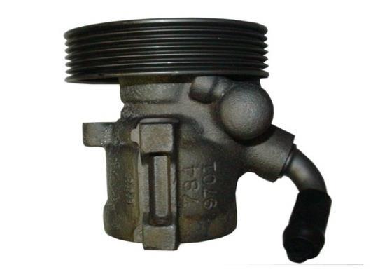Pompe de direction assistée (Servo direction) GKN ref. 53754