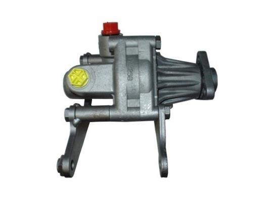 Pompe de direction assistée (Servo direction) GKN 53758