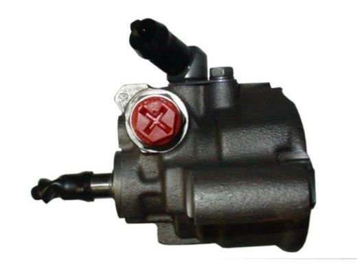 Pompe de direction assistée (Servo direction) GKN 53760