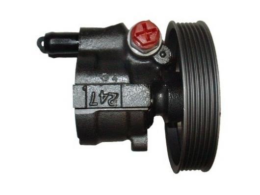 Pompe de direction assistée (Servo direction) GKN 53771