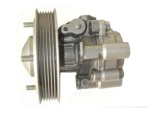 Pompe de direction assistée (Servo direction) GKN 53776