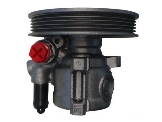 Pompe de direction assistée (Servo direction) GKN ref. 53789