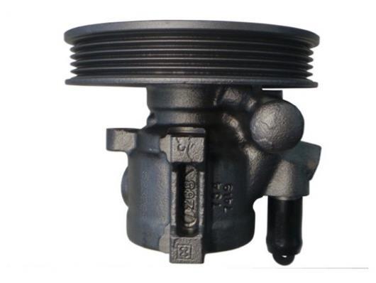 Pompe de direction assistée (Servo direction) GKN ref. 53789
