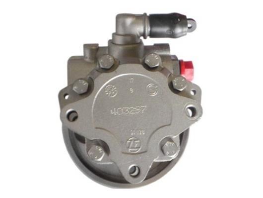 Pompe de direction assistée (Servo direction) GKN 53797