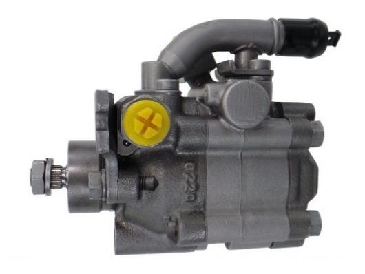 Pompe de direction assistée (Servo direction) GKN 53809