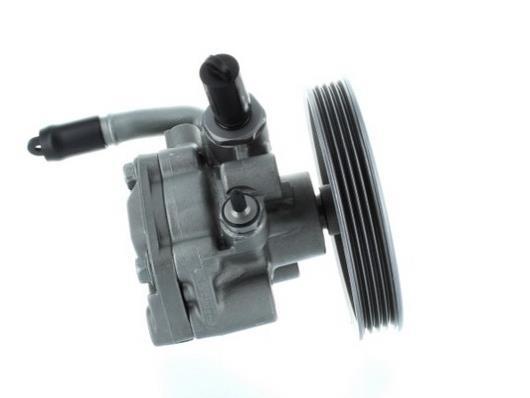 Pompe de direction assistée (Servo direction) GKN ref. 53818