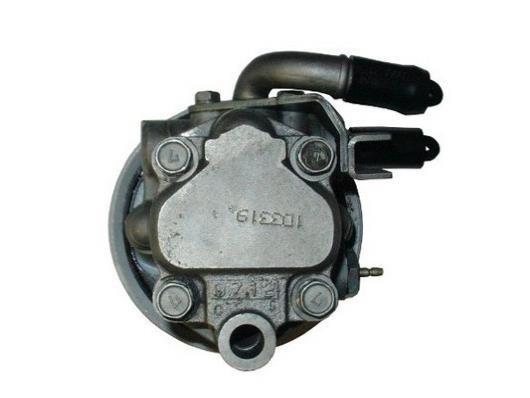 Pompe de direction assistée (Servo direction) GKN ref. 53819