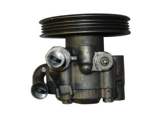 Pompe de direction assistée (Servo direction) GKN ref. 53819